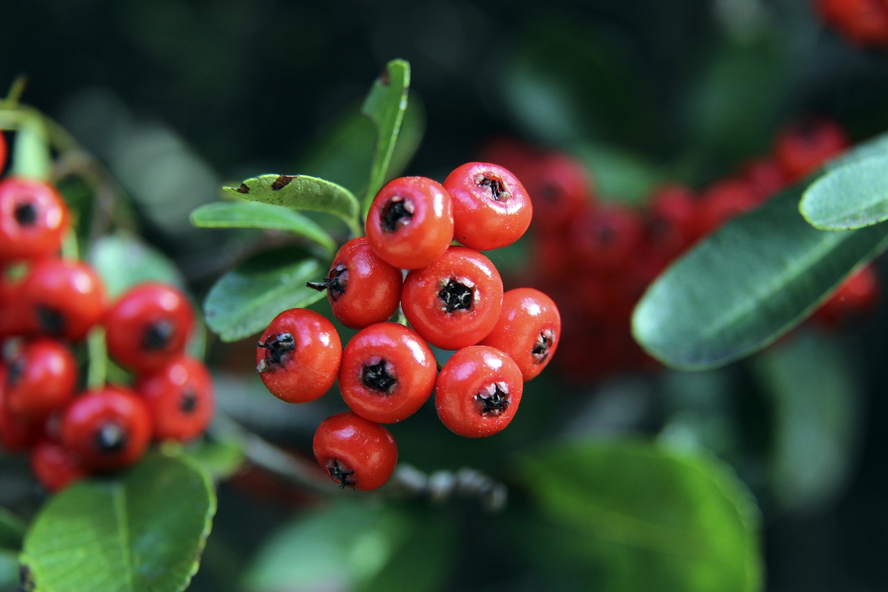 這也提醒我 這也提醒我